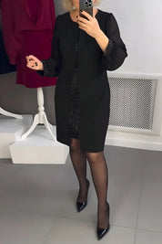 Women's fitted dress with sheer long sleeves and glitter underlay
