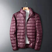 Men's lightweight puffer jacket with stand collar, photo 1