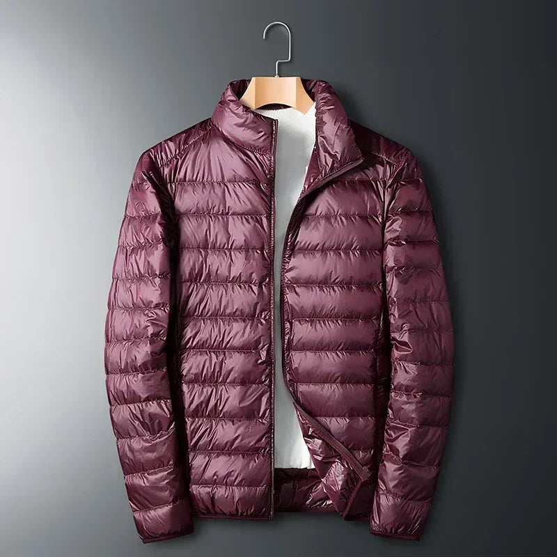 Men's lightweight puffer jacket with stand collar, photo 1